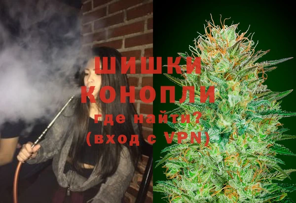 ПСИЛОЦИБИНОВЫЕ ГРИБЫ Ельня